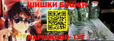 индика Кандалакша