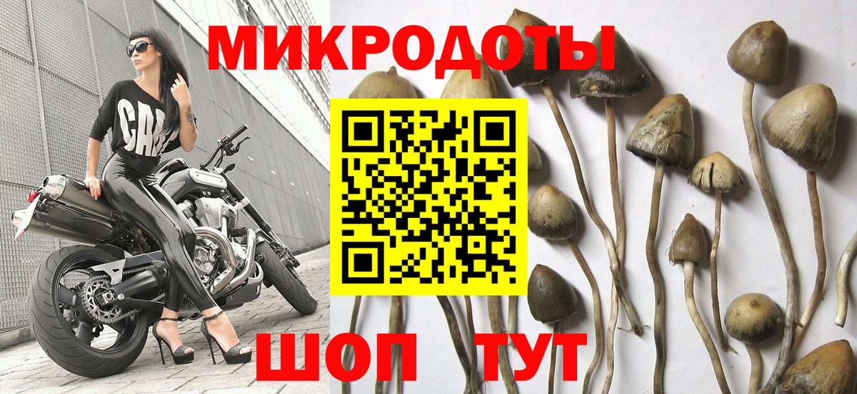 Псилоцибиновые грибы мухоморы  Вход с VPN  Галлюциногенные грибы Psilocybe  Ленинск-Кузнецкий 