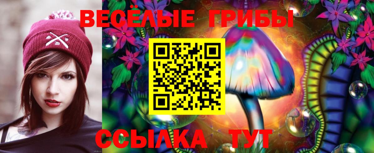 Галлюциногенные грибы прущие грибы Ленинск-Кузнецкий